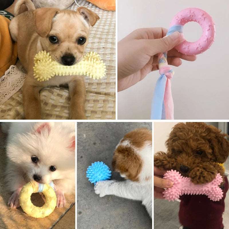 Dog Chew Toys - Only Accessories