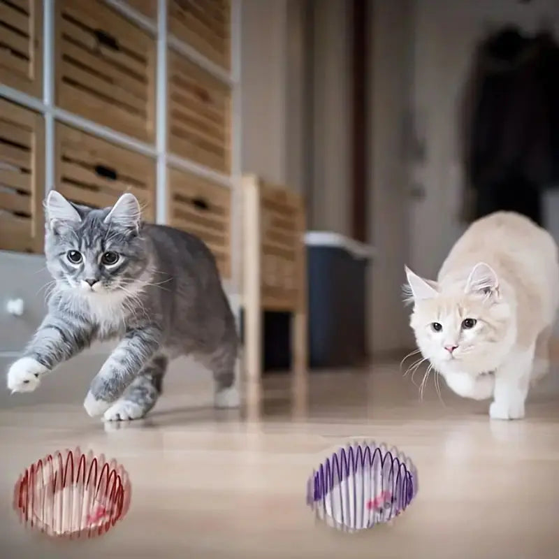 Stretchable Cat Toys - Only Accessories