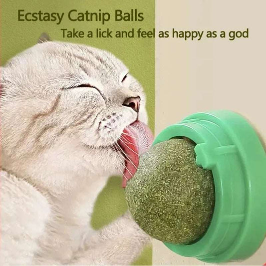 Catnip Scratching Post - Only Accessories