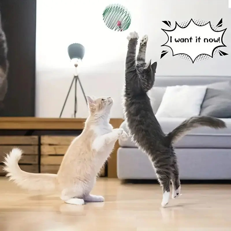Stretchable Cat Toys - Only Accessories