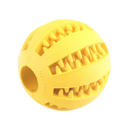 Elastic Dog Ball - Only Accessories
