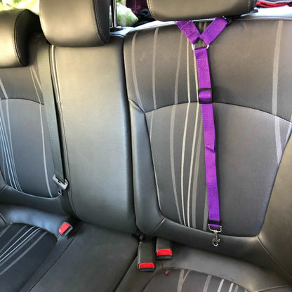 Pet Car Belt - Only Accessories