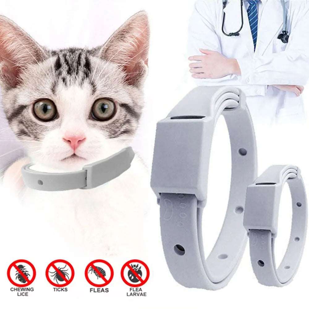 Anti-Flea Tick Collar - Only Accessories