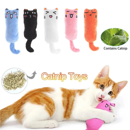 Catnip Chew Toys - Only Accessories