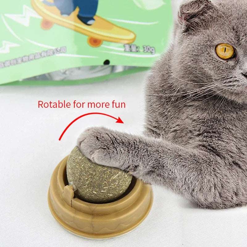 Catnip Scratching Post - Only Accessories